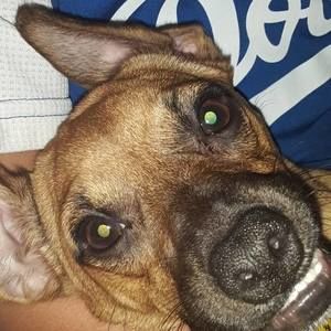 Meet your Posher, Noah